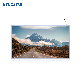 21.5inch Full HD 1920*1080 Open Frame TFT LCD Monitor All-in-Tablet PC