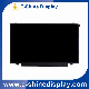 BOE (NT156FHM-N41) LCD Screen with Size 15.6" 1920X1080 Display in stock