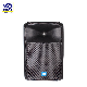 Zx4 Zx5 EV Style Speaker Passive Speaker PRO Audio