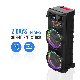 Dual 10 Inch Zqs10205 Outdoor Karaoke Wireless Party Bluetooth Speaker