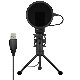 Computer Cardioid Condenser PC Gaming Mic with Tripod Stand Pop Filter for Streaming Podcasting USB Microphone