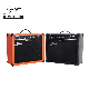 Wholesale 40W Custom Electric Guitar Amplifier with Different Watt Speaker USB Guitar AMP manufacturer