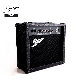 China Factory Smiger Electric Guitar Acoustic Guitar Amplifier 15 Watts manufacturer