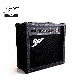 China Factory Smiger Electric Guitar Acoustic Guitar Amplifier 15 Watts