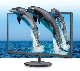 LED Monitor PC 19 Inch LCD Monitor with VGA HDMI