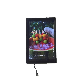 Android Tablet LCD TFT Display 10.1 Inch LCD Display 1280X800 280 Nit with 2&16GB