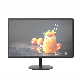 1920 X 1080 FHD IPS Panel 19.1 Inch LED LCD Computer Monitors