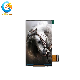  High Quality 480*854 Dots IPS Screen 4.5 Inch Small Sized TFT LCD