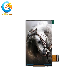 High Quality 480*854 Dots IPS Screen 4.5 Inch Small Sized TFT LCD
