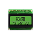  FSTN Cog LCD Display, 3.3V FSTN, Positive, Negative LCD