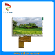  5inch IPS LCD Display with 800CD/M2 High Brightness for Portable Device