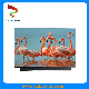 15.6inch 4K Amoled / Full Color OLED Display 2160*3840 Resolution for Laptop / Notebook, Super Thin