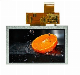 5 Inch High Resolution TFT LCD Panel