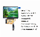 TFT-LCD Display Panel