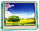  Golden Vision 5-Inch TFT/LCD Module, 720X1280p Resolution/350 CD/M2 Mipi Interface