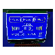 Custom Graphic Stn DOT Matrix Display Module LCD Cog Graphic LCD Module Graphic COB LCD