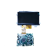  480*272 4.3 Inch LCD Driver Board for Video Intercom Door Phone