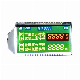  Custom OEM Monochrome Segment LCD Display Tn Htn Stn Va Screen LCD for Elevactor