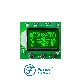 Custom ODM/OEM Htn LCD Display COB Graphic LCD Panel