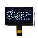 Standard Product 128*64 Dots Matrix Graphic Cog LCD Display