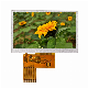  5.0 Inch TFT LCD Display Module 800X480 RGB 40pin Optional Touch Screen Apply for Home Appliance/POS