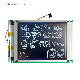  5.7 Inch 320X240 Graphic Ffstn White on Black 4-Bit Parallel Interface Monochrome LCD Module