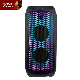 Feiyang Hot Selling DJ Double 8 Inch Outdoor Wireless Speaker manufacturer