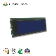  2022 Replacement 10 Pin 240X64 LCD Module Stn Blue LCD with PCB Controller for Medical Instruments