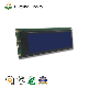 2022 Replacement 10 Pin 240X64 LCD Module Stn Blue LCD with PCB Controller for Medical Instruments