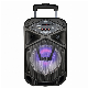  Temeisheng Trolley Speaker 8 Inch Portable Bluetooth Rechargeable Party Sound System with LED Light Tms-810