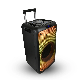 Wireless Speakers DJ 8 Inch Flame Lights LED Outdoor Bt Trolley Party Audio manufacturer