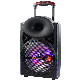 12 Inch Woofer 60W A12-3 Temeisheng Plastic Digital Karaoke Mixer Amplifier Professional Speaker System