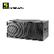  Lx-218 Dual 18′ ′ Line Array Subwoofer Speaker Cabinet