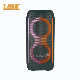 New Plastic Speaker Double 8 Inch Home Theater System Party Speakers Karaoke Speakers Sound Equipment with Tws Function