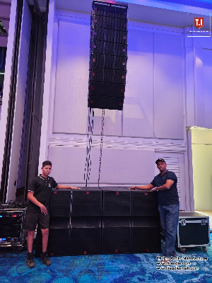 T. I PRO Audio Passive Line Array Speaker Dual 10" Sound System Equipment for Concert