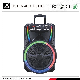  Factory OEM 15 Inch Party Box Karaoke Trolley Speaker