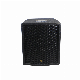  Professional Audio Dante Dp Poe Speaker High Performance 120W Dante System Subwoofer Speaker with DSP Poe Power Supply