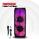  10 Inch Woofer Flame Light Audio Bass Bluetooth Speaker for Party