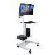  Mobile Computer Workstation Gas Lift/Trolley Single Monitor 10-24