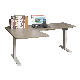 Dual Motor Ergonomic Office Furniture Electric Automatic Adjustable Sit Stand Desk L Shape Height Four Memory Position Standing Office Desk/