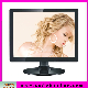 19 Inch LCD Monitor/LCD TV with RoHS/19 TFT LCD Computer TV Monitor