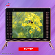 15inch HD LED TV (ZMH-150T4GH-D)