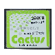  Original Cactus CF Card 256m Industrial Equipment Card CNC Machine Advertising Machine Wide Temperature Memory Card