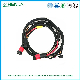 Customized XLPE Insulated High Temperature Resistant Low-Voltage Automotive Cable IATF16949 Certified