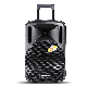  Temeisheng PT-1265A Portable 12 Inches Speaker System with Wireless Microphones