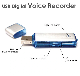 Three-in-One Voice Recording Plus U-Disk Digital Mini Audio Sound Recorder