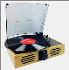  Wholesale Vinyl Record Player with Technics Turntable