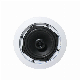  OEM Wholesale Public Address System Wireless Bluetooth Active 2 Way 5 Inch Ceiling Speaker CB-215t