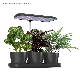 Indoor Culture LED Light Intelligence Annual Plantersimulated Sunlight Smart Plastic Flowerpot