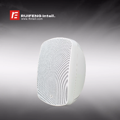 6.5" All Weather Outdoor Speaker